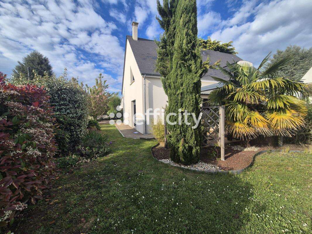 Maison à VINEUIL