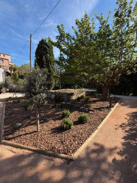 Appartement à COLLIOURE