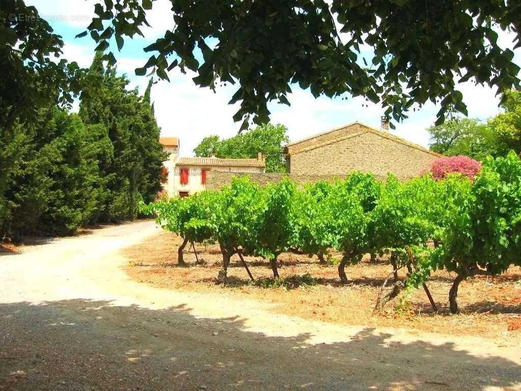 Domaine avec vignes et gîtes - photo 3