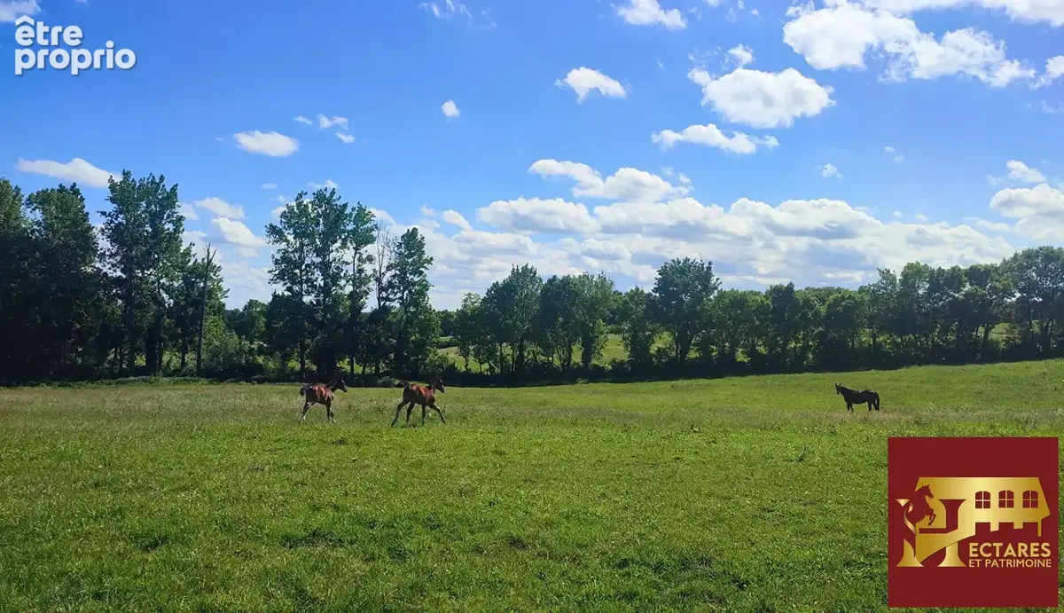 Propriété agricole 48 hectares - photo 18