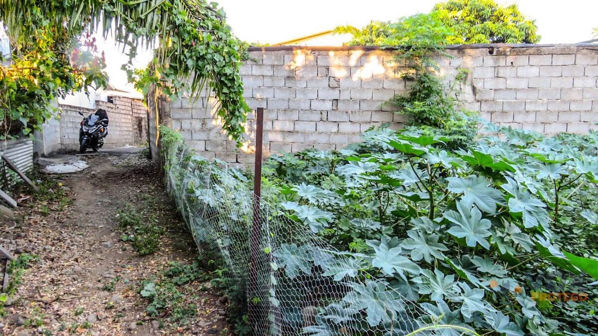 Photo Terrain à Saint-Louis au prix de 89 000€