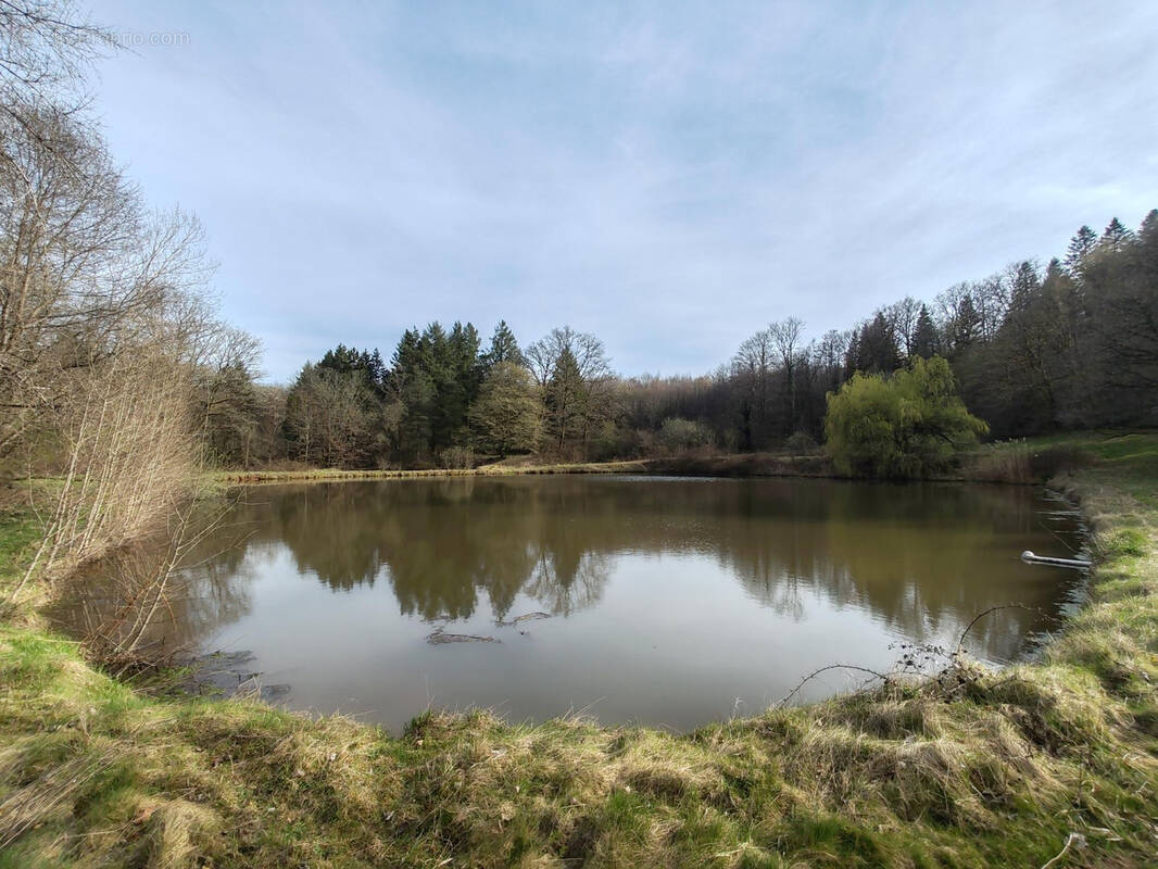 Terrain à EVETTE-SALBERT