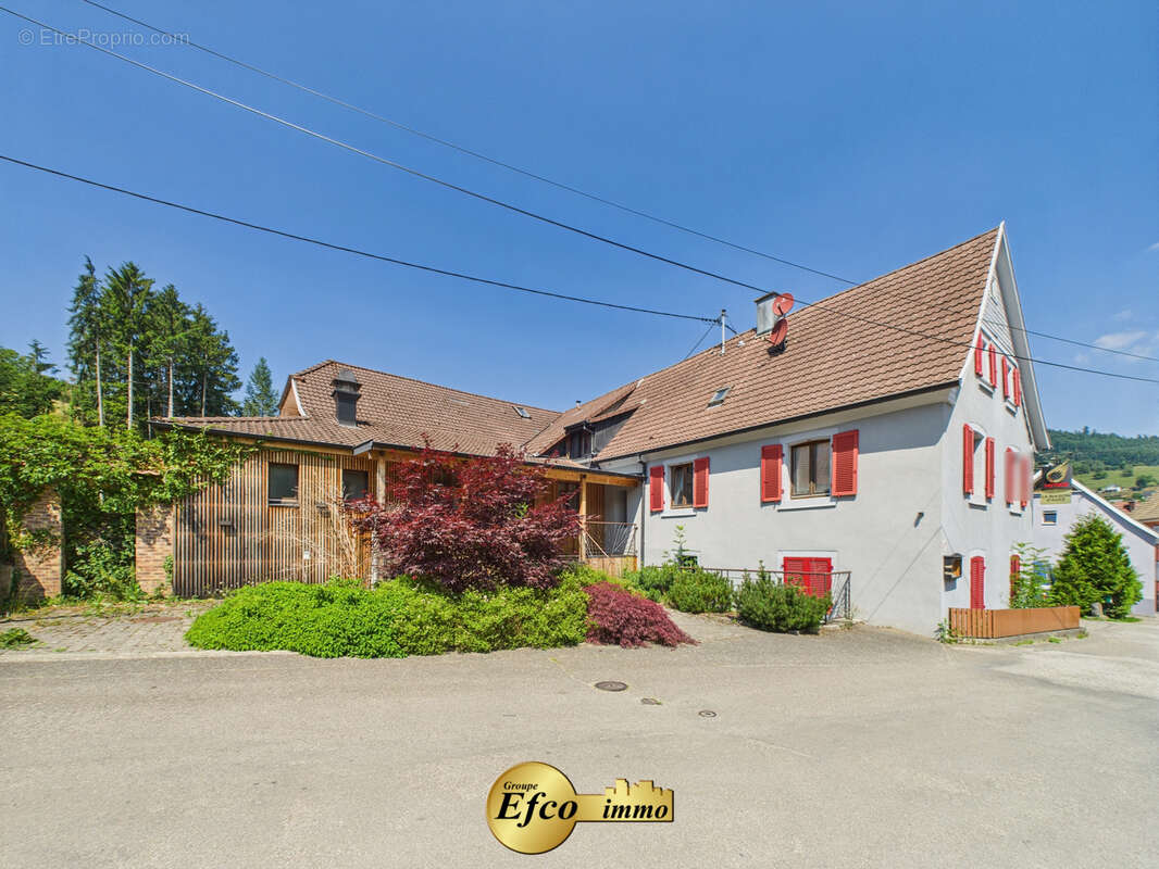 Commerce à BREITENBACH-HAUT-RHIN