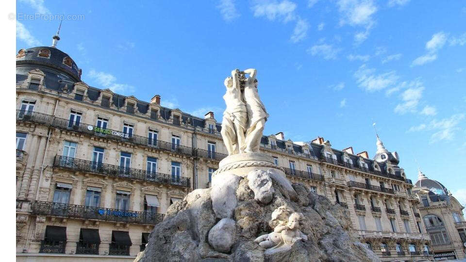 Commerce à MONTPELLIER