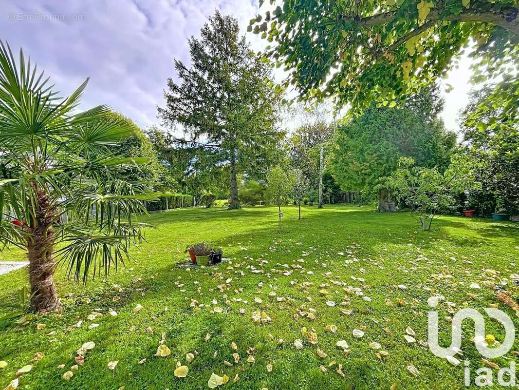 Photo 4 - Maison à VILLEMANDEUR