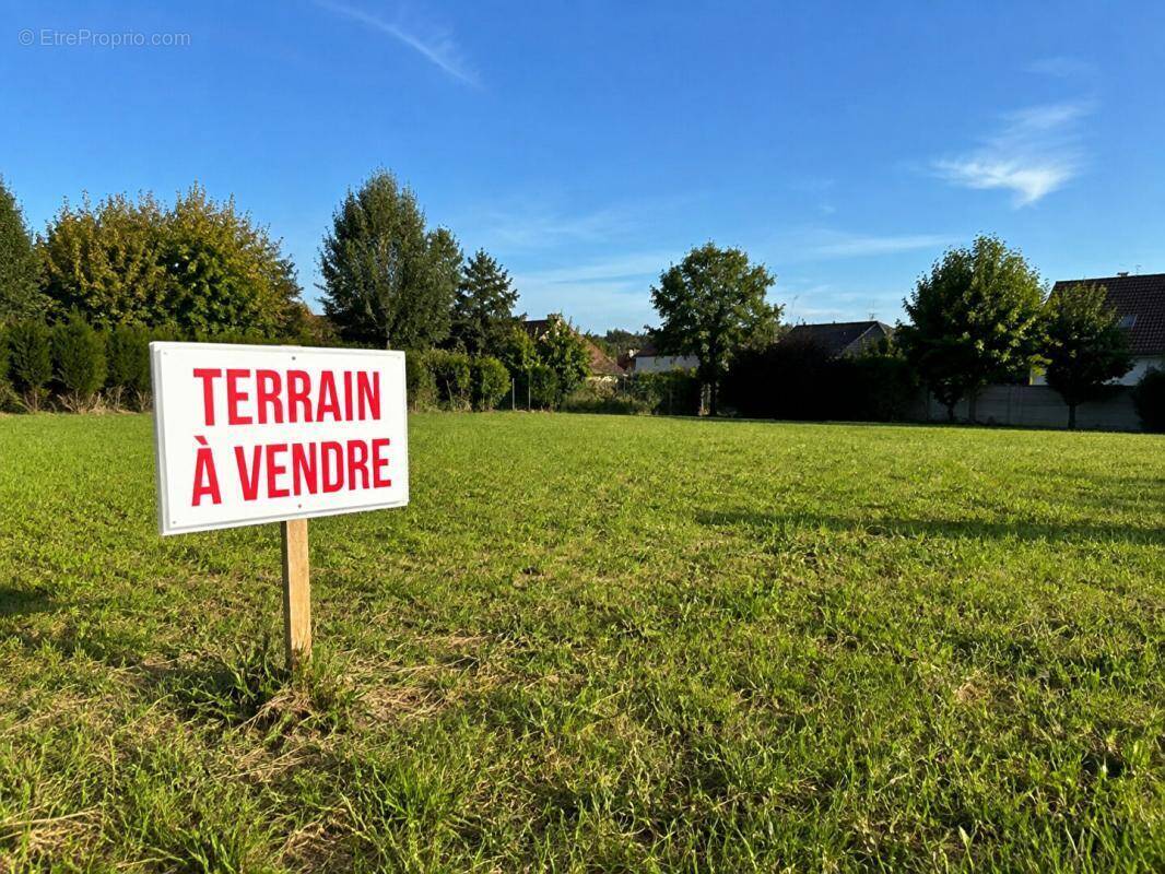 Terrain à VIRONCHAUX