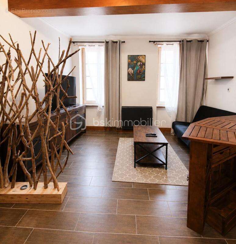 Investissement locatif- un local commercial- 2 appartements- 1 studio - 1 cave- entièrement meublé - photo 3