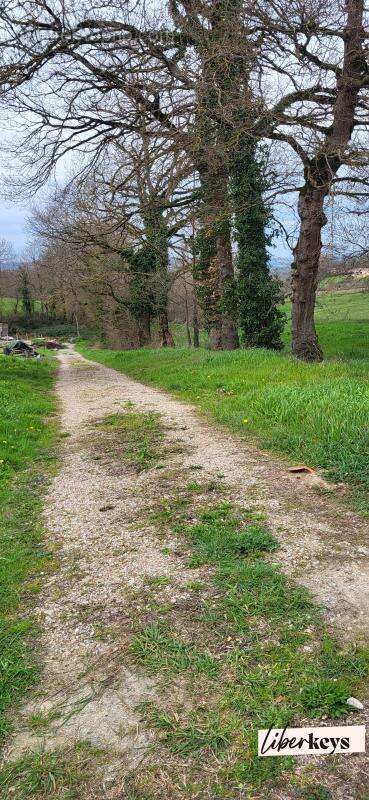 Terrain à MONTFA