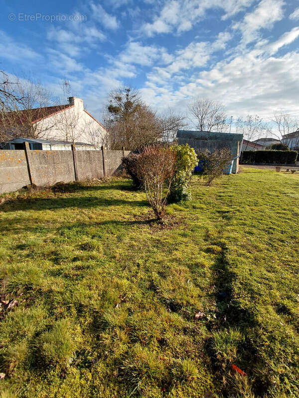 Terrain à LE PELLERIN