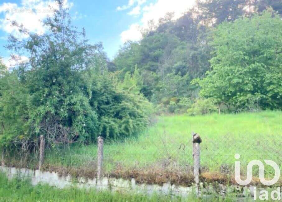 Photo 2 - Terrain à BRIVE-LA-GAILLARDE