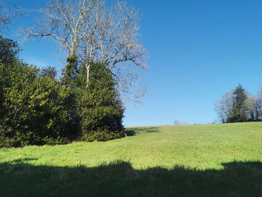 Maison à LA SALVETAT-SUR-AGOUT