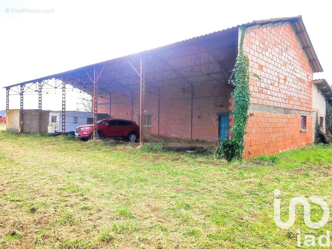 Photo 2 - Terrain à NEGREPELISSE