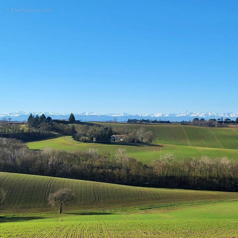Terrain à SAINT-LEON