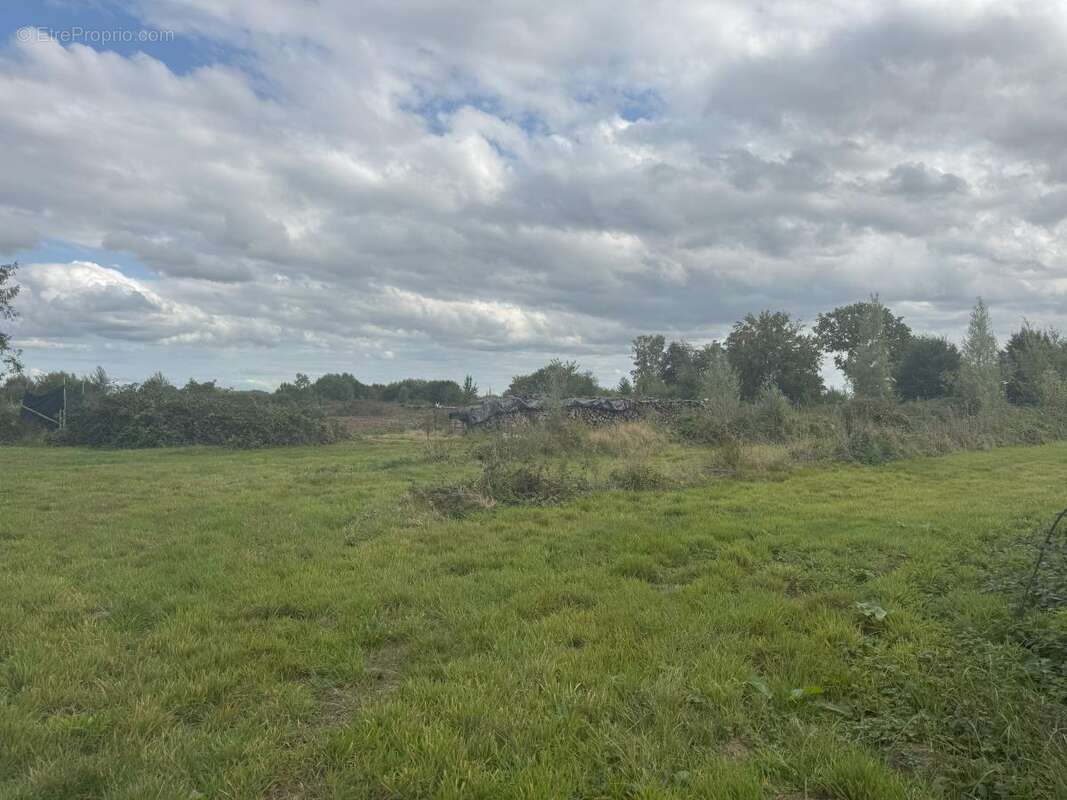 Terrain à PRISCHES