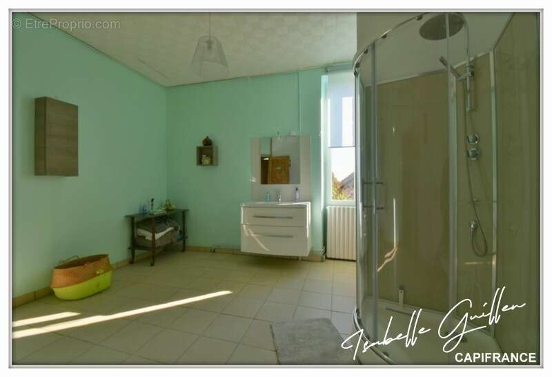 Maison à vendre 9 pièces VESDUN (18) - photo 49