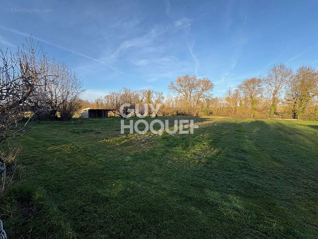 Maison à VILLEMUR-SUR-TARN