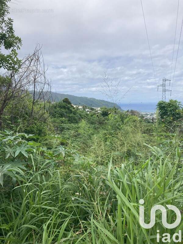 Photo 5 - Terrain à SAINT-DENIS