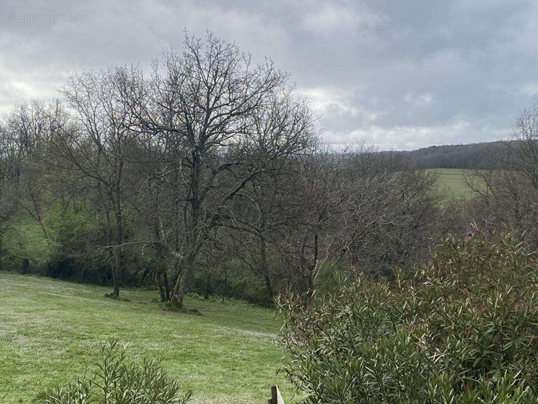 Maison à SAINT-PEY-DE-CASTETS