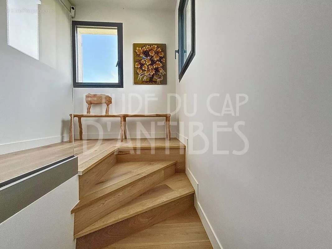 Cap d'Antibes  Versant Ouest - photo 8