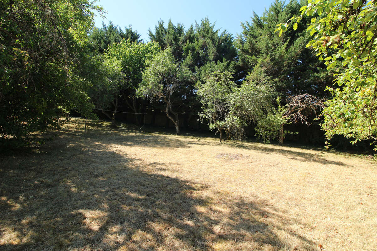 Proche nuits st georges hautes côtes - photo 16