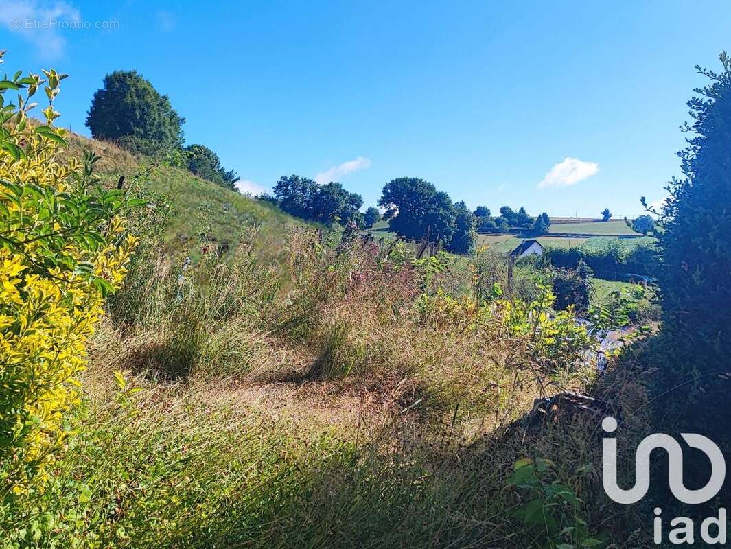 Photo 3 - Maison à MONTSALVY