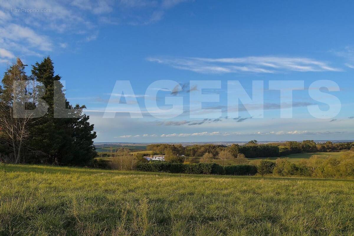 ae54b668-9bb4-404d-9990-8199cbfd8687 - Terrain à EMPEAUX