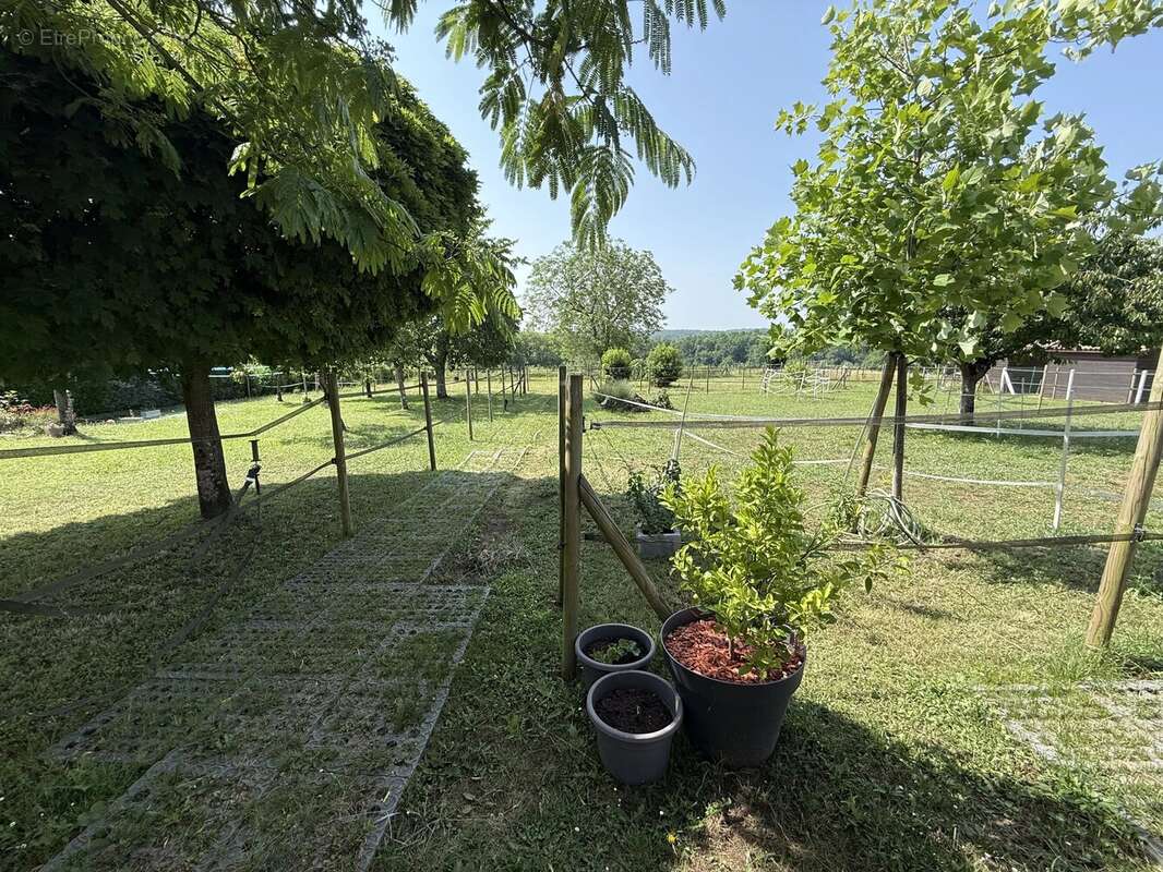 Propriété Équestre en Pierre – Installations pour Chevaux & Écurie à Proximité - photo 15