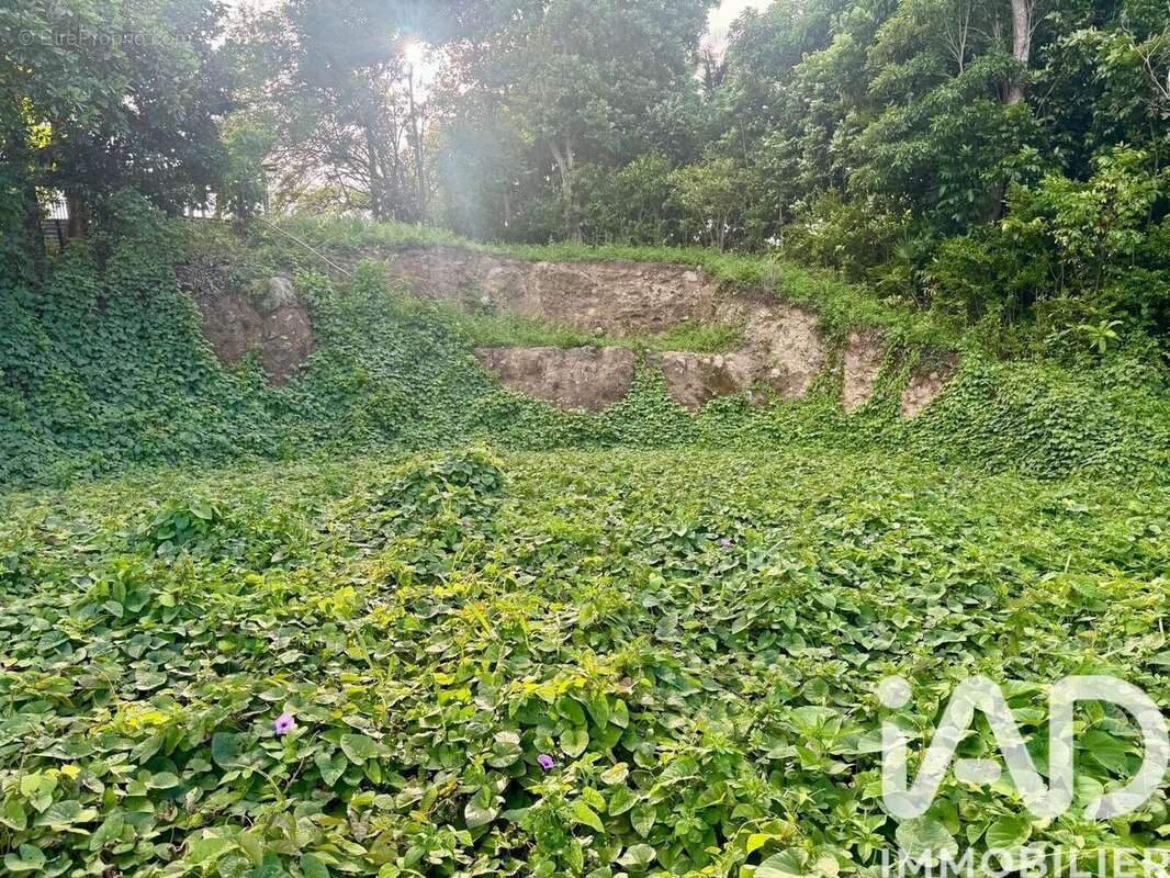 Photo 5 - Terrain à LES ABYMES