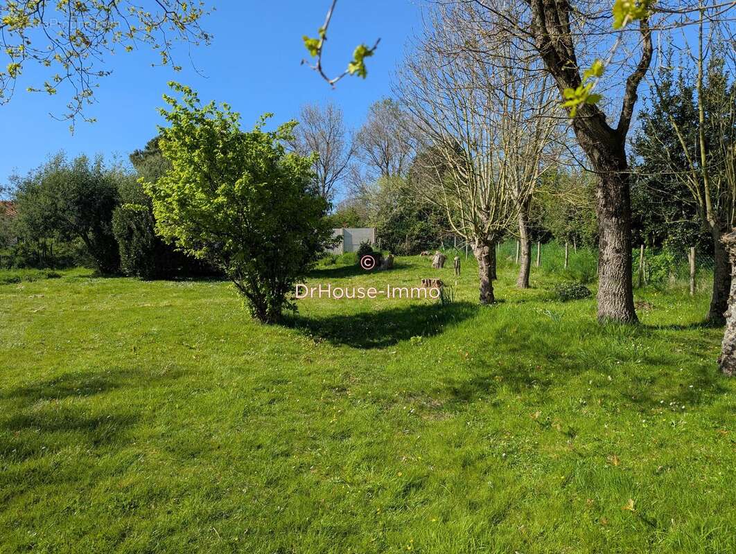 Terrain à L'ILE-D'OLONNE