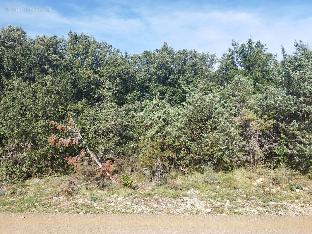 Terrain à ORGNAC-L'AVEN