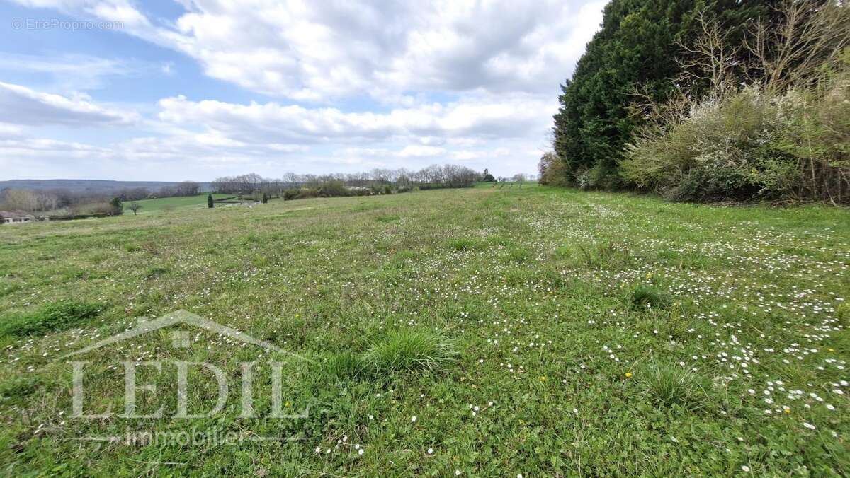Terrain à NERAC