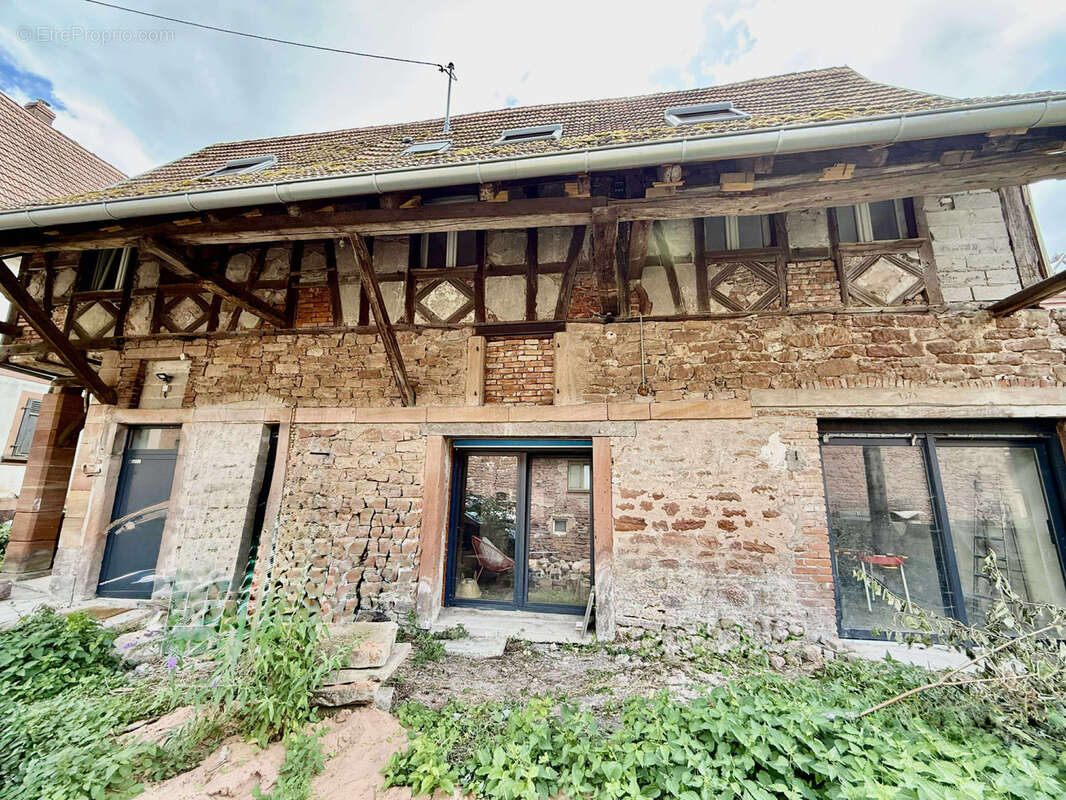 Appartement à INGWILLER