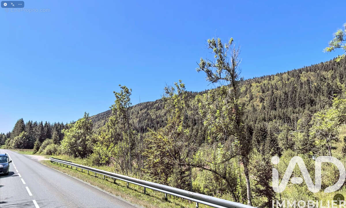 Photo 2 - Terrain à SEPTMONCEL