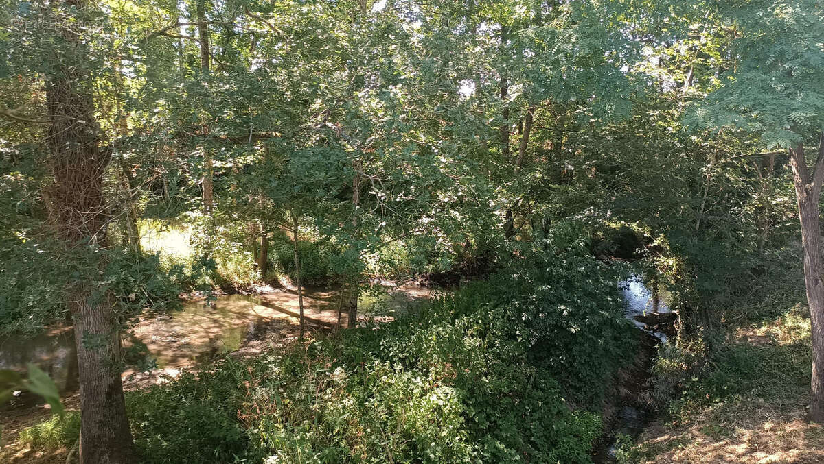 Ensemble immobilier avec ancien moulin - photo 8