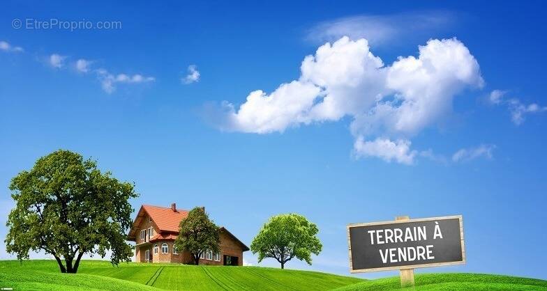 Terrain à VILLEMOISSON-SUR-ORGE