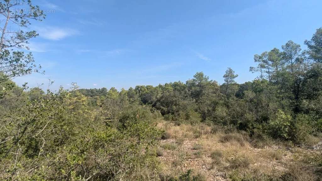 CARCES - Terrain 22.234m² en zone Naturelle - photo 12