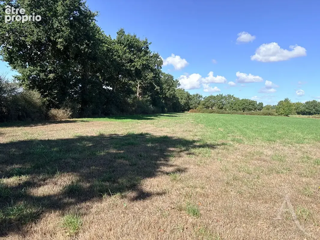 Terrain à MONTAIGU