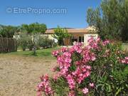 Maison à FRONTIGNAN