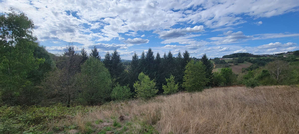 Terrain à bâtir avec très jolie vue - photo 2