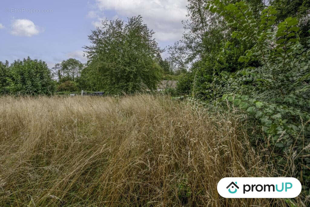 Terrain à THIEUX