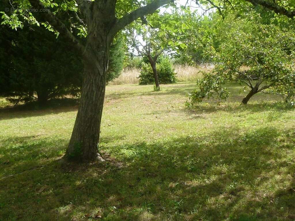 Maison à SAINT-AULAYE