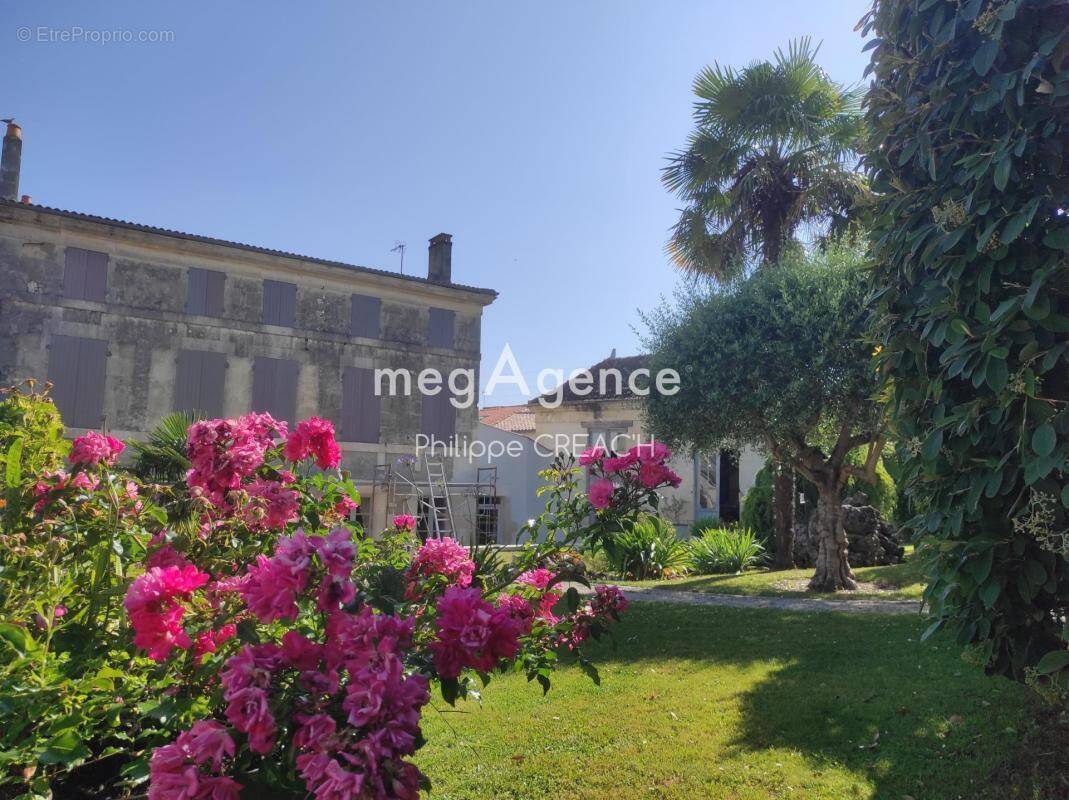 Maison à SAINT-JEAN-D'ANGELY