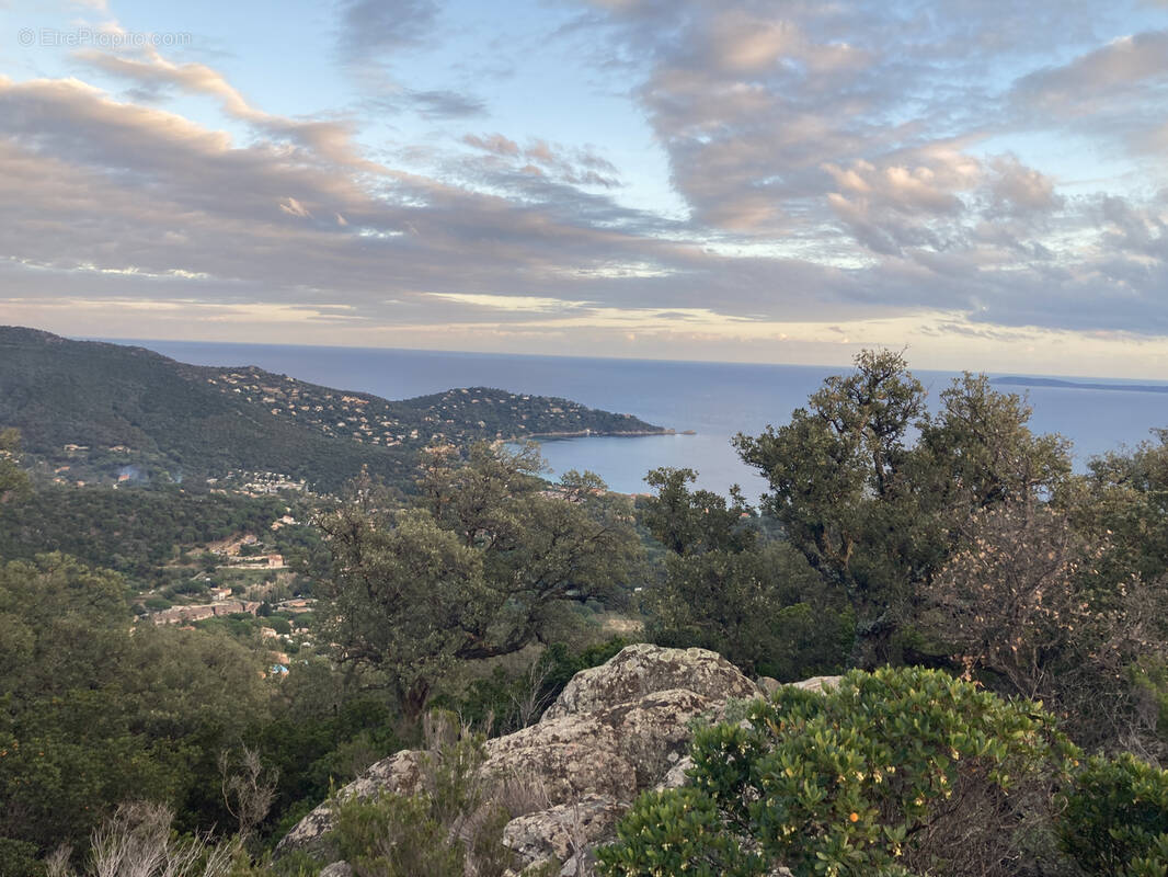 Terrain à LE LAVANDOU