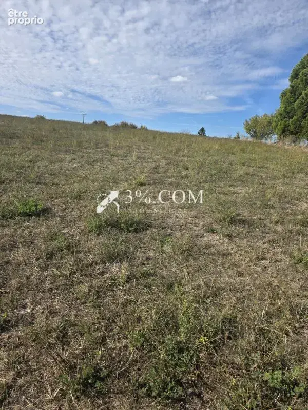 Terrain constructible de 16240 m2 à Damelevieres - photo 4