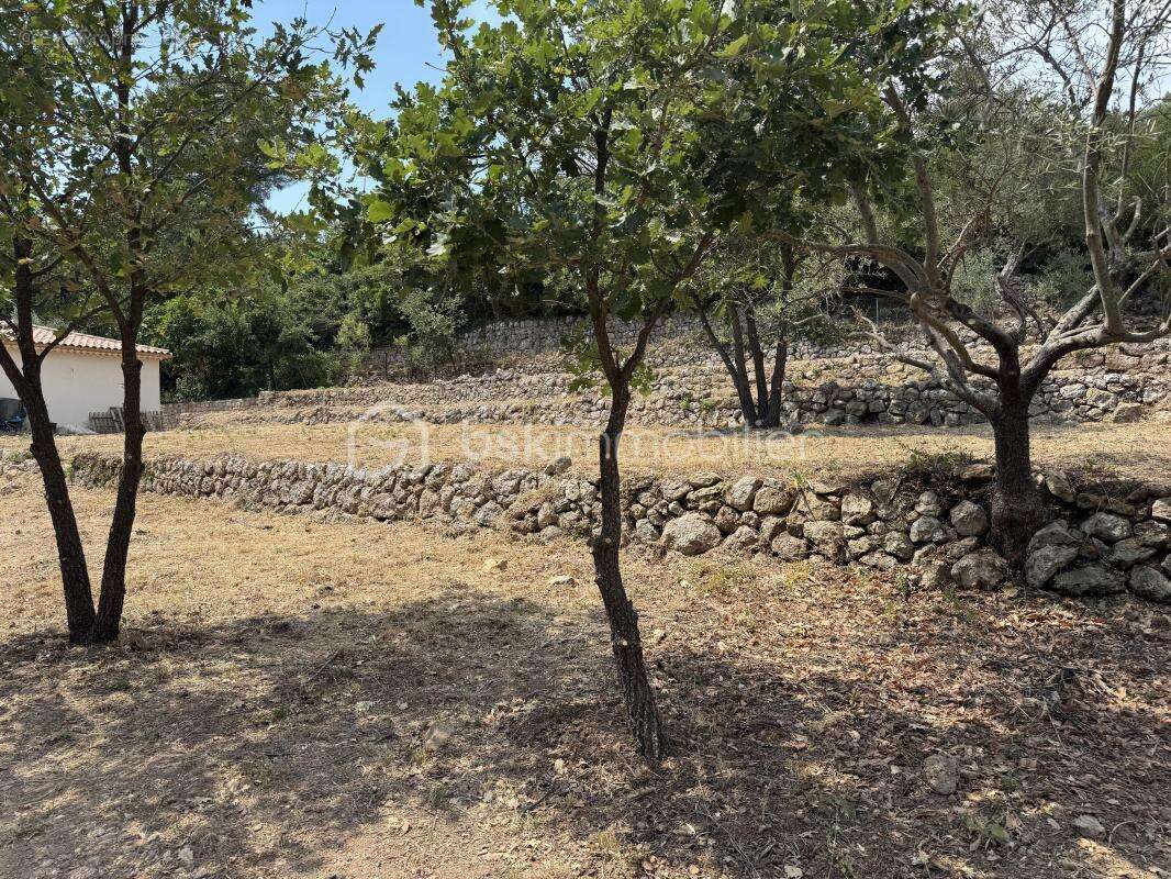 A BELGENTIER (83210) – Terrain constructible de 1 017 m² avec permis accordé pour villa, piscine et garage, vue dominante. Libre - photo 4