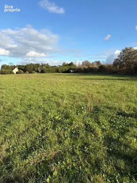 Photo Terrain à Blere au prix de 80 000€