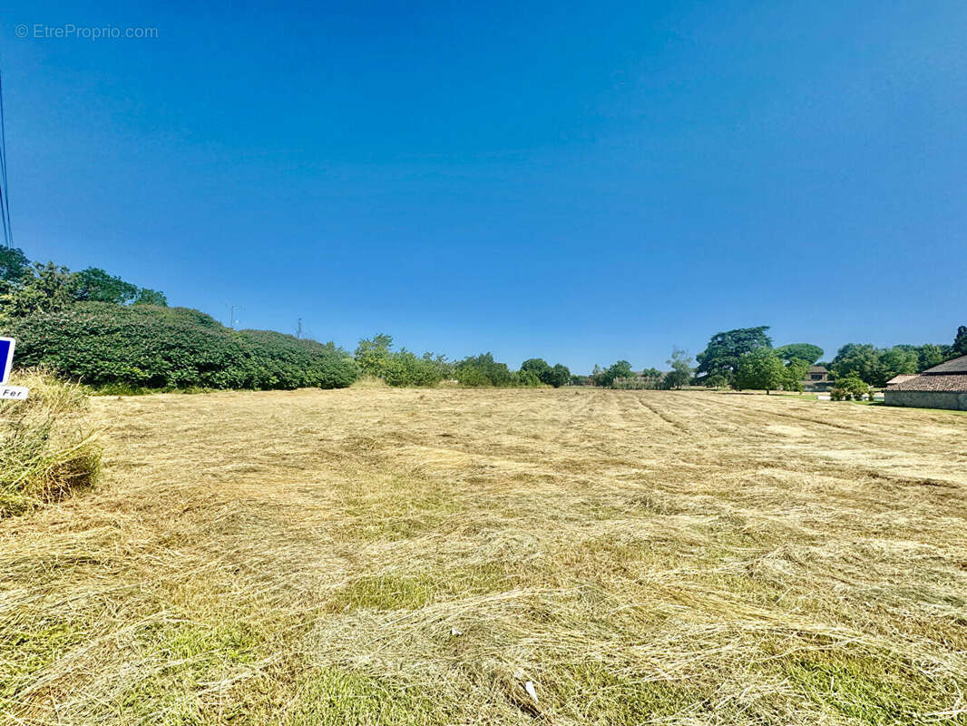 Terrain à MONFLANQUIN