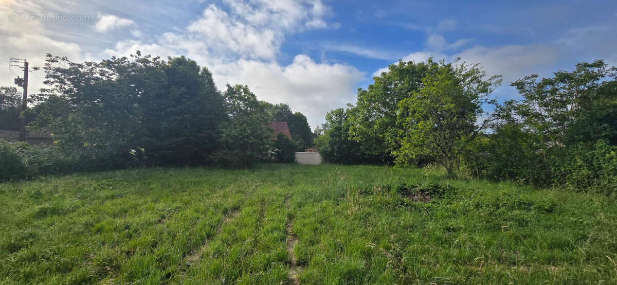 Terrain constructible 2 536 m2   Voulon, proche Vivonne - photo 4