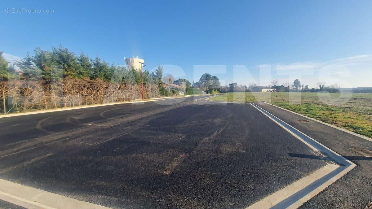 20250217_165157 - Terrain à CASTELSARRASIN