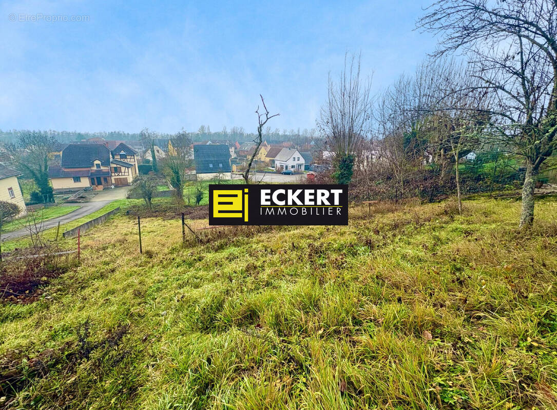 Terrain à DINSHEIM-SUR-BRUCHE